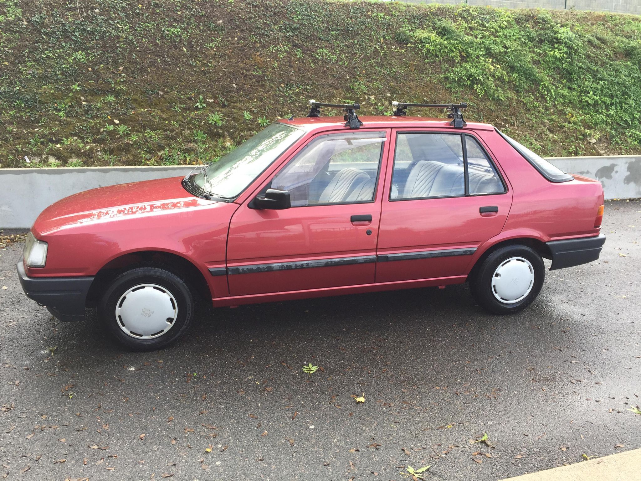 peugeot 309.jpg