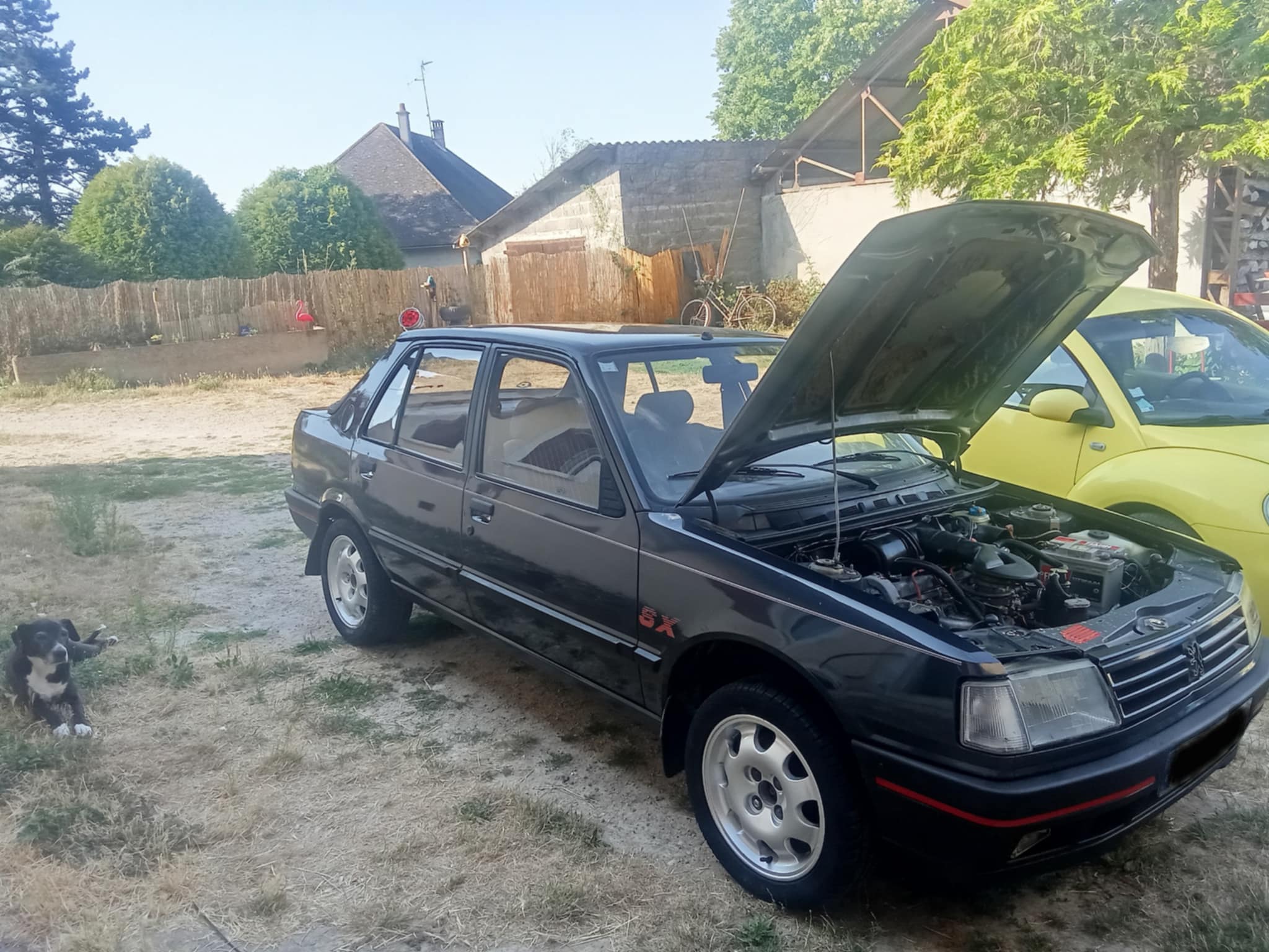 la 309 sx 1.jpg